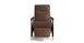 Leather Recliner