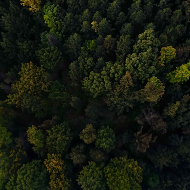 2095 Total tons (plus lots more!) of materials recycled from our facilities in 2022