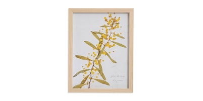 Golden Rod Branch