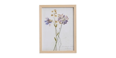 Pressed Purple  Flowers